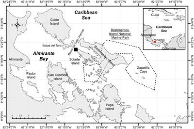 First stable isotope and mercury assessment of bonnethead and Caribbean sharpnose sharks from a potential nursery ground in the Archipelago of Bocas del Toro, Panamanian Caribbean